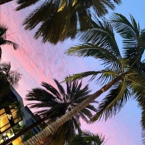 Meet your Posher, Patricia